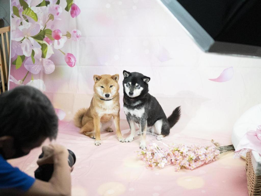 Izumigo Lake Hamanako Dog Paradise Hotel 하마마츠 외부 사진
