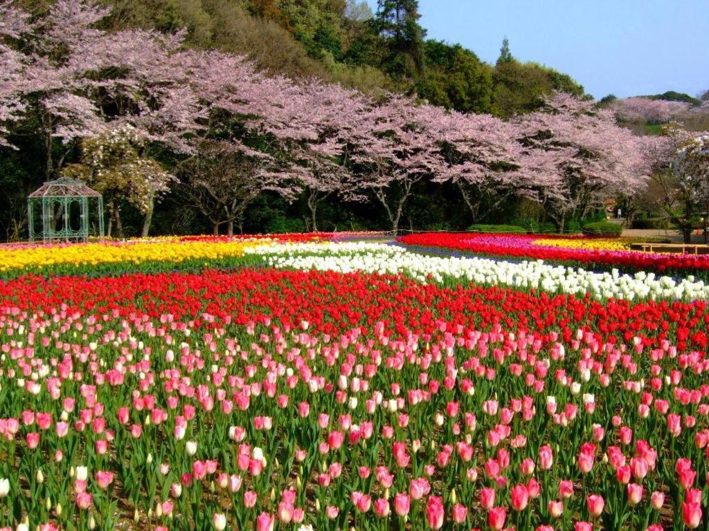 Izumigo Lake Hamanako Dog Paradise Hotel 하마마츠 외부 사진