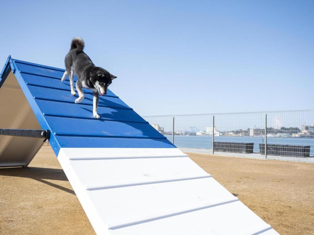 Izumigo Lake Hamanako Dog Paradise Hotel 하마마츠 외부 사진
