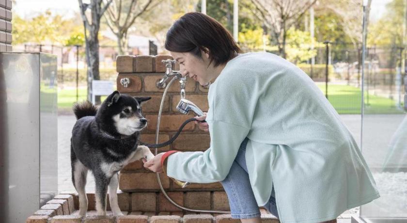 Izumigo Lake Hamanako Dog Paradise Hotel 하마마츠 외부 사진