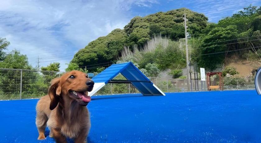 Izumigo Lake Hamanako Dog Paradise Hotel 하마마츠 외부 사진